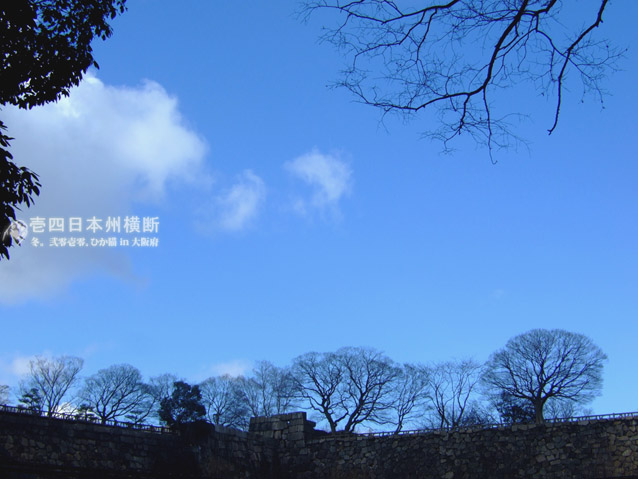 DSCF7079.jpg DSCF7079.jpg
