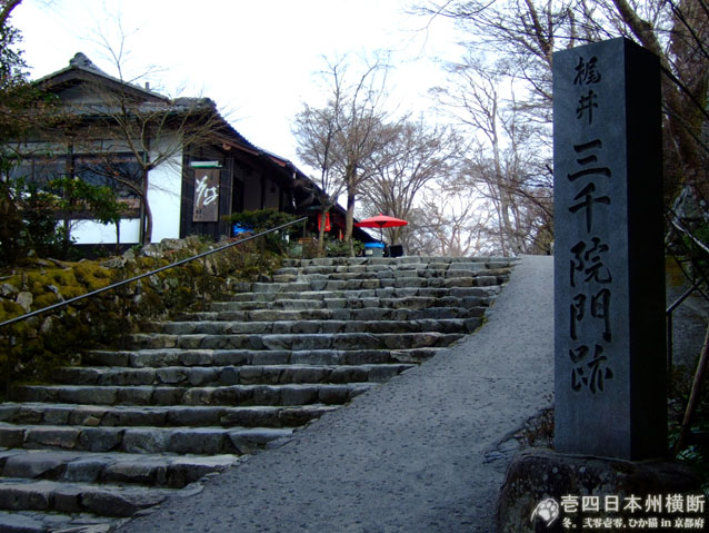DSCF6570.jpg DSCF6570.jpg