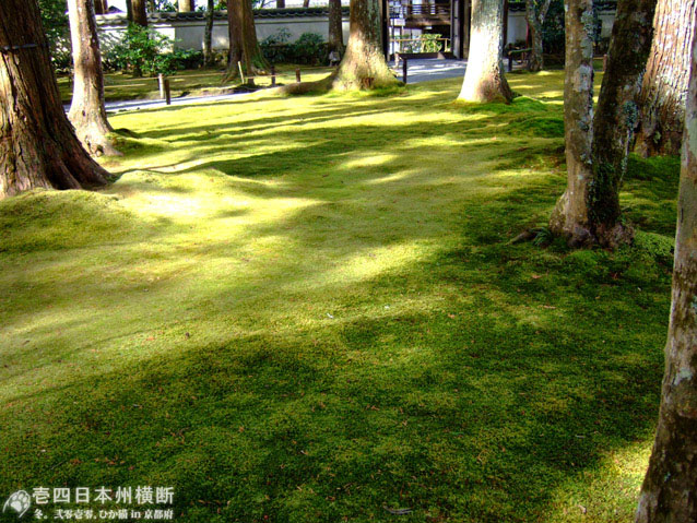 DSCF6627.jpg DSCF6627.jpg