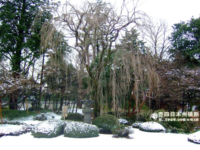 DSCF5877.jpg DSCF5877.jpg