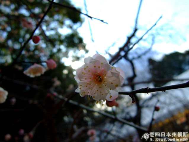 DSCF6759.jpg DSCF6759.jpg