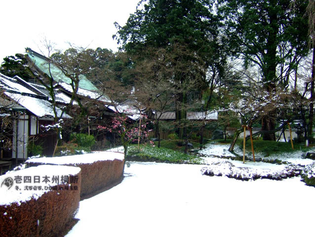DSCF5875.jpg DSCF5875.jpg