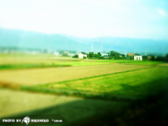 DSCF2445.jpg DSCF2445.jpg