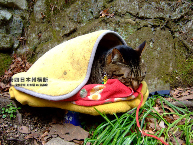 DSCF6678.jpg DSCF6678.jpg