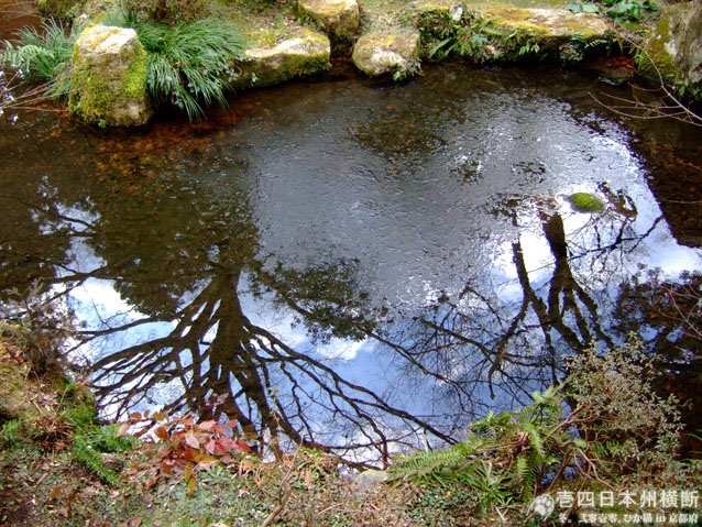 DSCF6587.jpg DSCF6587.jpg