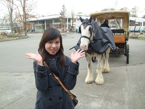 馬也粉冷..穿上牠的馬衣