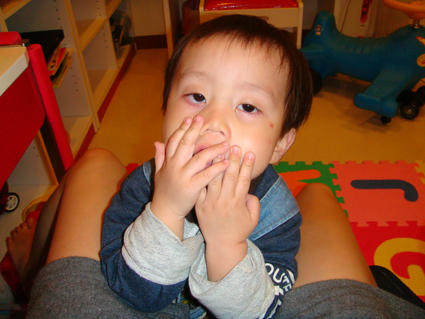 DSC02072.JPG DSC02072.JPG