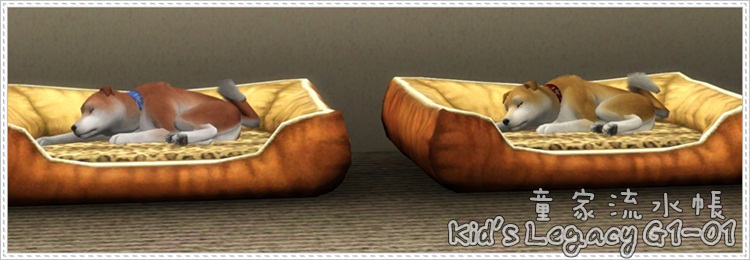 kids-banner01-G101.jpg kids-banner01-G101.jpg