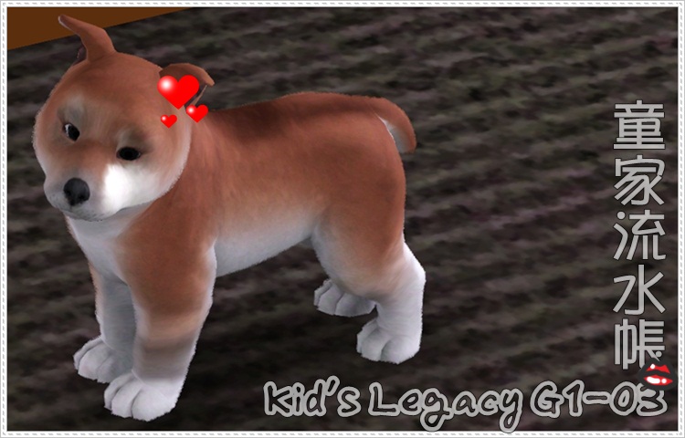 kids-banner-G103.jpg kids-banner-G103.jpg