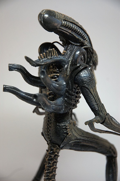 DSC_5590.jpg DSC_5590.jpg