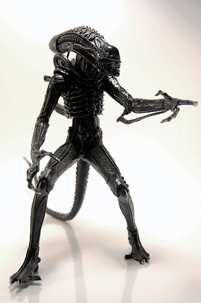 DSC_5565.jpg DSC_5565.jpg