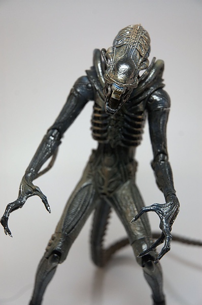 DSC_5593.jpg DSC_5593.jpg