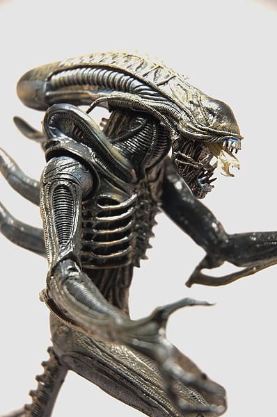 DSC_5584.jpg DSC_5584.jpg