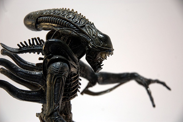 DSC_5568.jpg DSC_5568.jpg