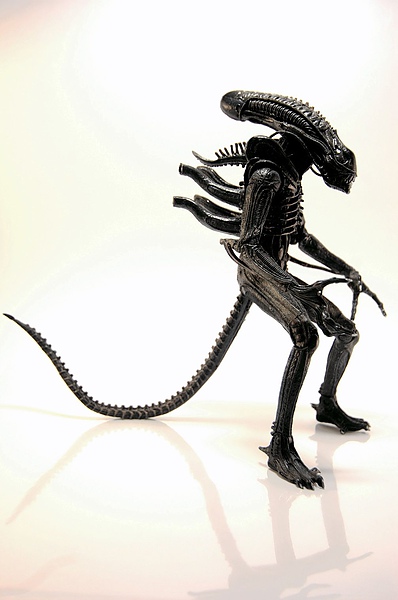 DSC_5564.jpg DSC_5564.jpg