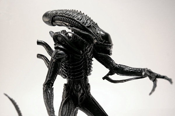 DSC_5566.jpg DSC_5566.jpg