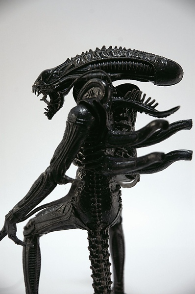 DSC_5569.jpg DSC_5569.jpg