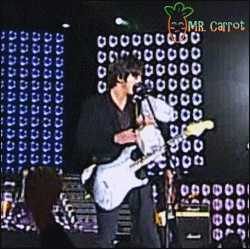 121117 智利 對熊唱歌