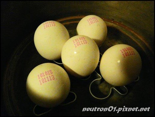 P1080256_大小.jpg P1080256_大小.jpg