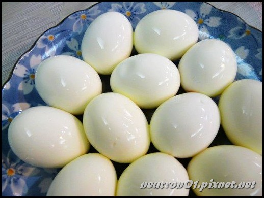 P1080258_大小.jpg P1080258_大小.jpg