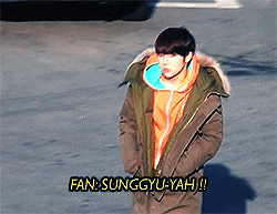 tumblr_mhd3kd0MsZ1qdcayvo2_r1_250