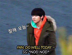 tumblr_mhd3kd0MsZ1qdcayvo5_250