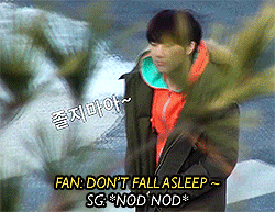 tumblr_mhd3kd0MsZ1qdcayvo6_r2_250