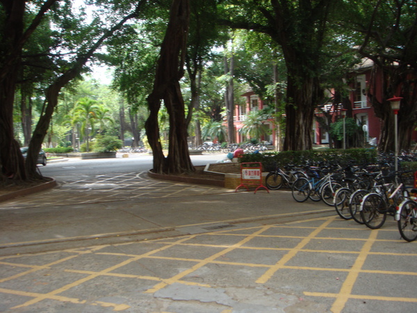 DSC00696.JPG DSC00696.JPG