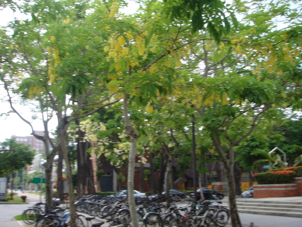 DSC00699.JPG DSC00699.JPG