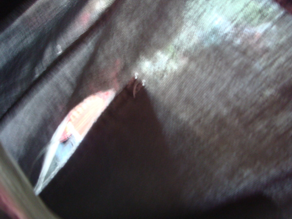 DSC00764.JPG DSC00764.JPG