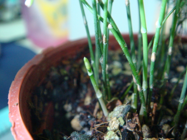 DSC00769.JPG DSC00769.JPG