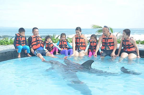 峇里島戀戀海豚魅力灣