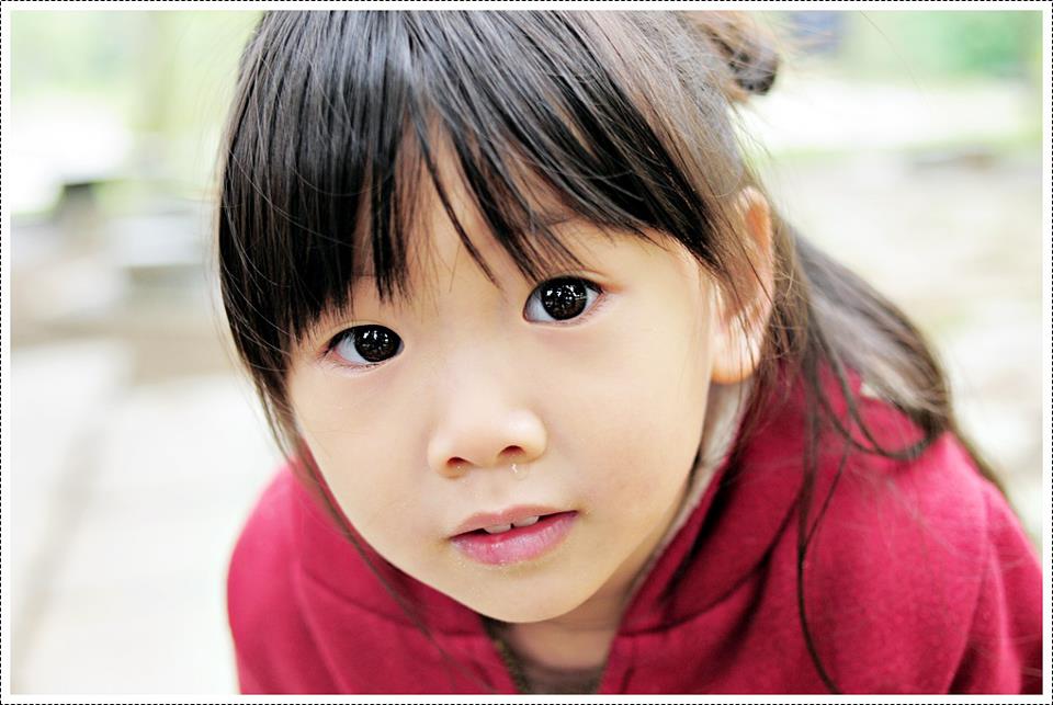 945407_10151582330717969_1104542341_n