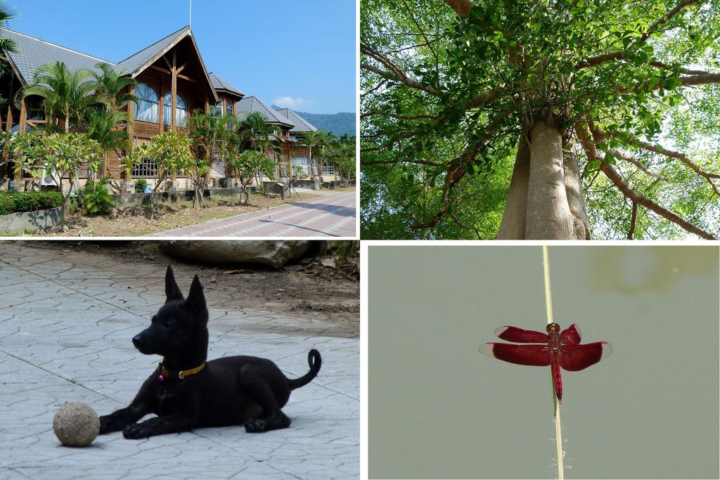 0249南投縣國姓鄉國姓驛站 0249南投縣國姓鄉國姓驛站