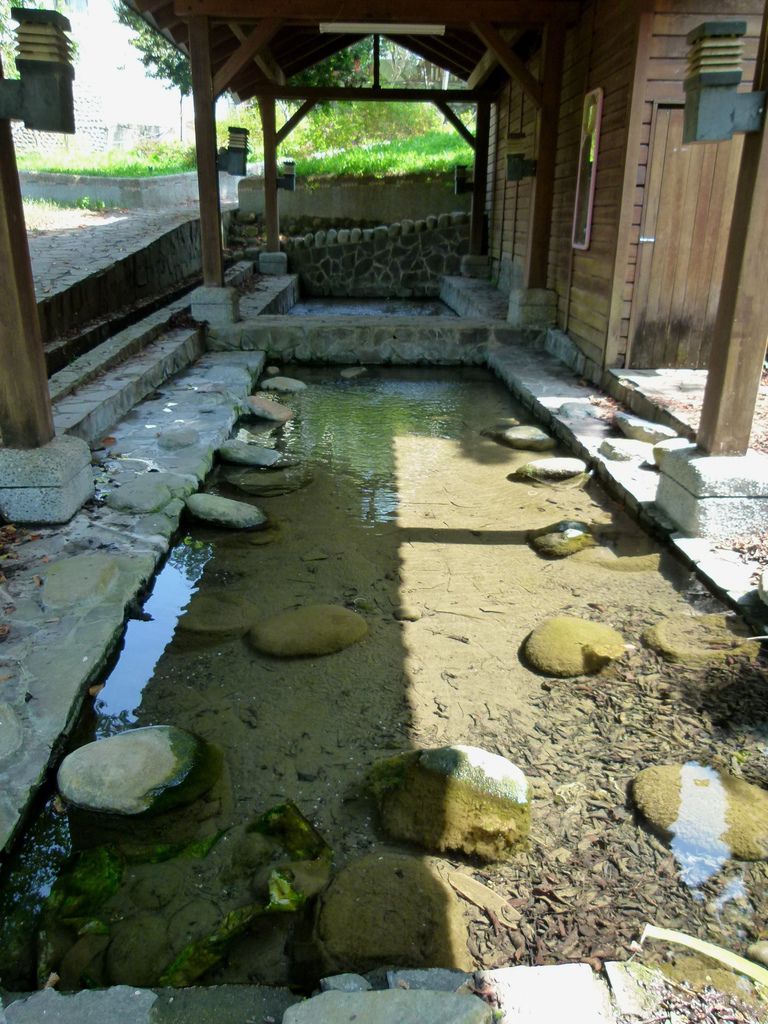 0283南投縣國姓鄉茄苳老樹及洗衣坊 0283南投縣國姓鄉茄苳老樹及洗衣坊