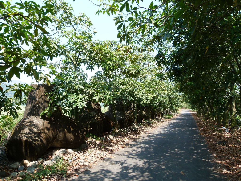 0289南投縣國姓鄉自行車路線 0289南投縣國姓鄉自行車路線