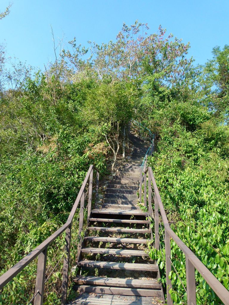 0386南投縣草屯鎮九九峰森林步道