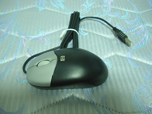DSCN0438.JPG