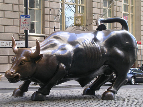 bull in wall.jpg