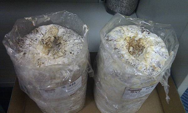 20121214-早上1130,感覺無進展 20121214-早上1130,感覺無進展