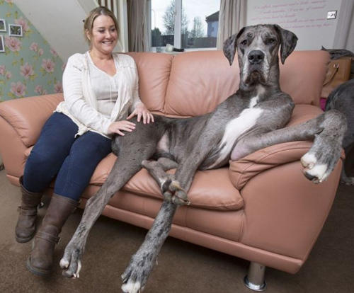 pJeToZ2ekqCVp6Q pJeToZ2ekqCVp6Q