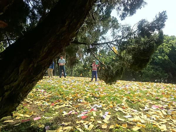 姜興芝公派下,祭祀公業法人桃園市姜梅公/桃園市新屋區「姜興芝 姜興芝公派下,祭祀公業法人桃園市姜梅公/桃園市新屋區「姜興芝