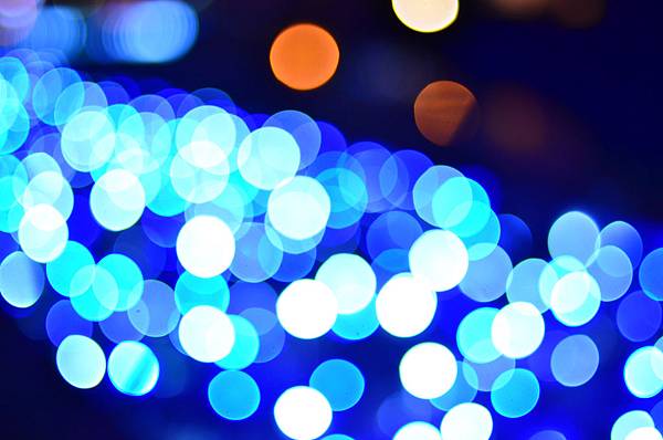 DSC_1937 DSC_1937