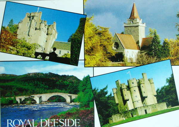 DSC01496.JPG DSC01496.JPG