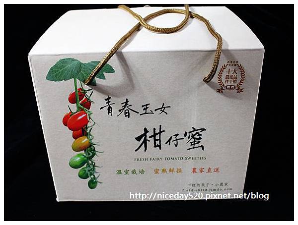 田裡的孩子。小農家 