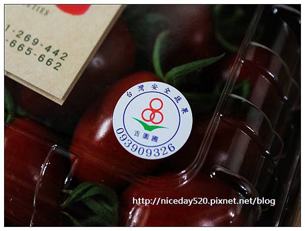 田裡的孩子。小農家 田裡的孩子。小農家