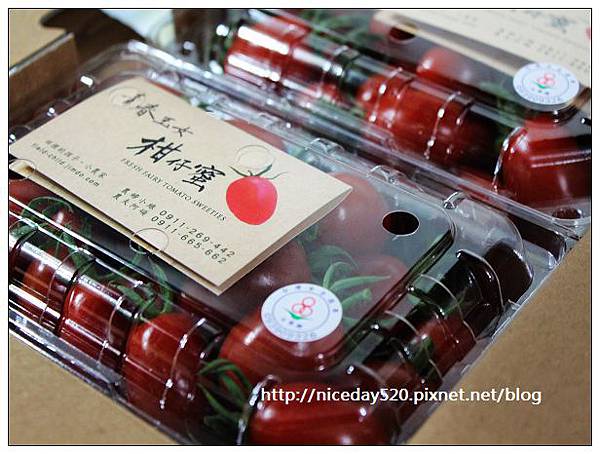 田裡的孩子。小農家 田裡的孩子。小農家