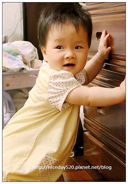 百事特童裝e店 百事特童裝e店