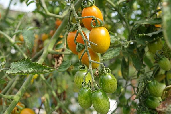 DSC03435.JPG DSC03435.JPG