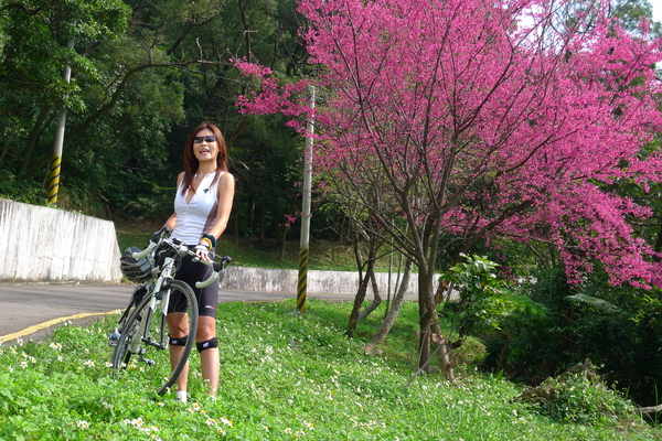 P1010641.JPG P1010641.JPG